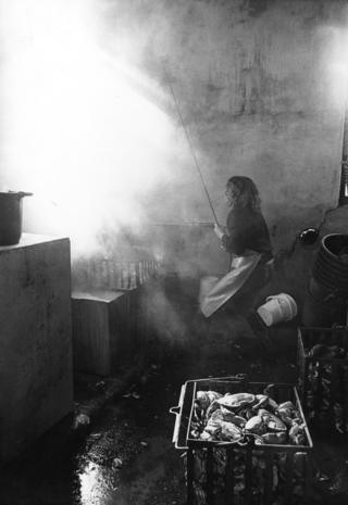 Boiling crabs at Orkney Fishermen's Society Ltd, a cooperative in Stromness. The cooked meat was packaged and exported. Lobsters were flown out live