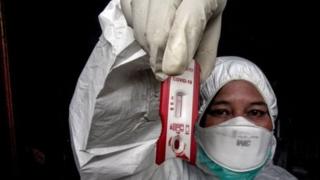Coronavirus, rapid test