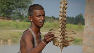 எலும்புகள்