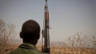 مسلح في جنوب كردفان