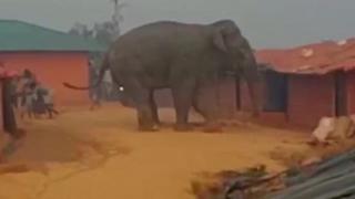 हाति