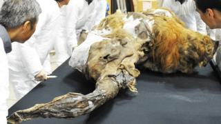 Yuka rodeado por investigadores