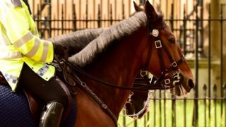 mounted police officer
