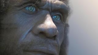 O homem de Neandertal