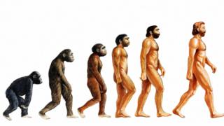 Human evolution poster