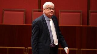 Australian gun laws: One Nation party 'sought NRA money' in US - BBC News