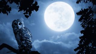 Una luna llena