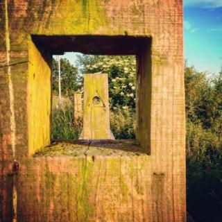 Wood posts shown through a wood post