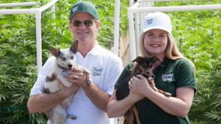 Элисон Эттель на фото со своим деловым партнером Гарри Роузом и двумя его собаками