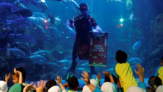 A man waves to children as he dives before the Chinese Lunar New Year at Seaworld Sea Park in Jakarta, Indonesia