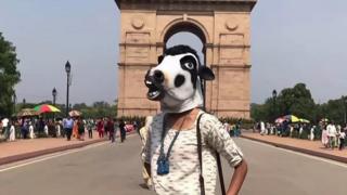 ఫొటో