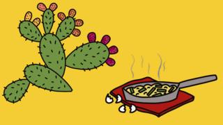 cactus prickly pear