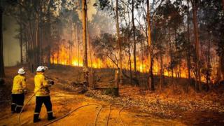 Two firefighters point hoses at the fire front of the Long Gully Road blaze on 27 October