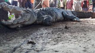 Le barrage de Mpomopa, situé dans le sud du Zimbabwe, est infesté de crocodiles (photo d'archives).