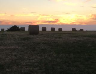 Newly baled straw at sunset