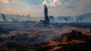 environment Fires in Brazil