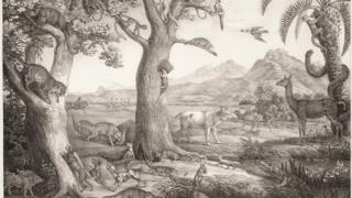 Croqui de Von Martius
