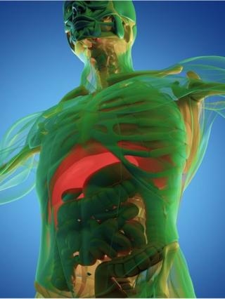 Gambar 3D tubuh manusia