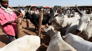 Ndị Fulani ọchịehi