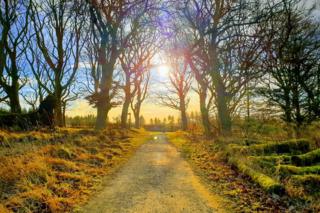 Hillhouse Wood