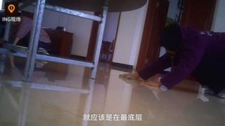 PEAR VIDEO
