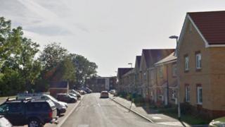 Burdock Drive
