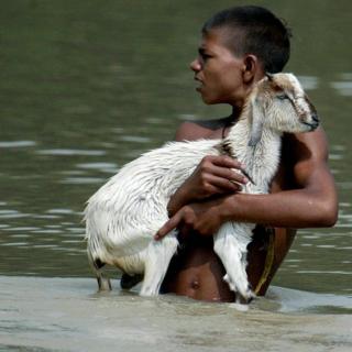 बिहार