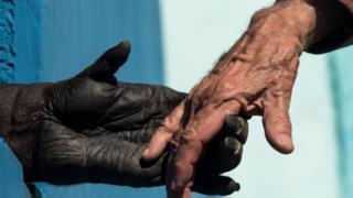 Des scientifiques de la North Carolina State University aux États-Unis ont découvert que les nids construits par les chimpanzés en Tanzanie contenaient moins de bactéries que nos matelas dans nos maisons