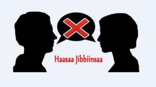 Labsii haasaa jibbiinsaa fi odeeffannoo sobaa Itoophiyaa