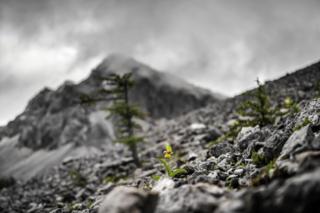 Standing Alone by Yi Fan