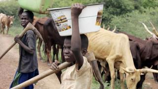 niger, eleveurs, agriculteurs