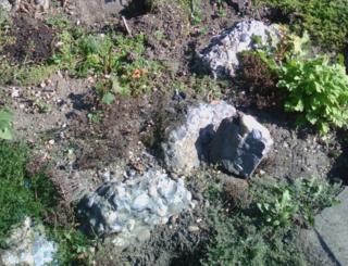 Hertfordshire puddingstone