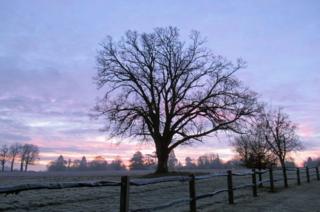 Sunrise over frosty fields