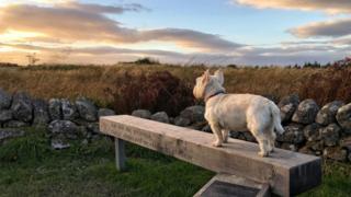Culloden Moor