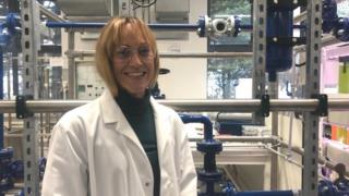Doctora Marianne Ellis.