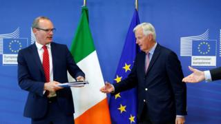 Мишель Барнье выступал после встречи с министром иностранных дел Ирландии Саймоном Ковени