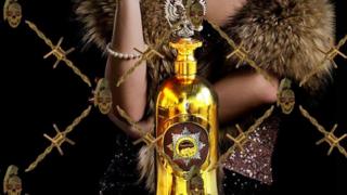 La bouteille de vodka "la plus chère du monde" a été dérobée mardi du bar Cafe 33 à Copenhague.