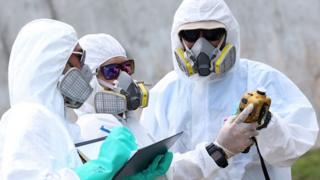 toxicity of the chemicals