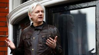Assange