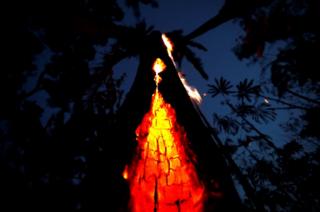 A burning tree is seen during a fire in an area of the Amazon rainforest