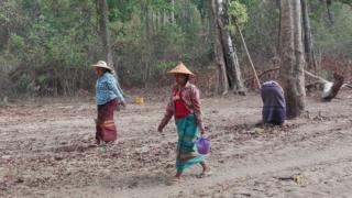 တိရစ္ဆာန်ငယ်လေးတွေ ရေပြတ်လပ်လို့ မင်းကင်းမြို့နယ် ကျောက်ပန်းကုန်းရွာက ဒေသခံတချို့ စုပေါင်းပြီး ရေသွား တိုက် ကြပါတယ်။