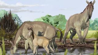 Macrauchenia