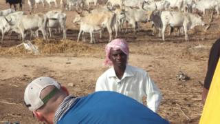 Daral Technologies; Amadou Sow; Afrique Avenir; Rémy Nsabimana, BBC Afrique; jeunes entrepreneurs africains
