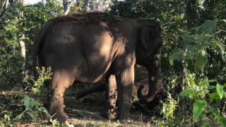 Maia observa o corpo da amiga Guida, no santuário, em Chapada dos Guimarães