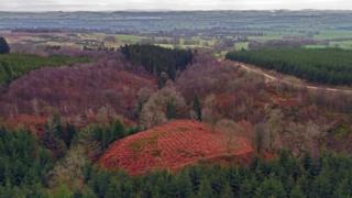 Aerial view of Wallace's house