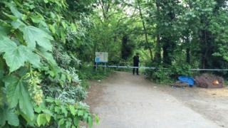 Brooklands Lake