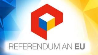 Referendum