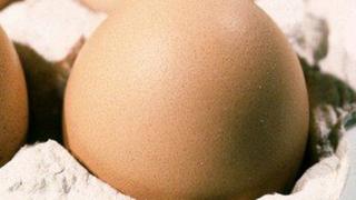 Egg