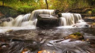 Afon
