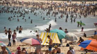Beachgoers in the waves at a beach in Sydney